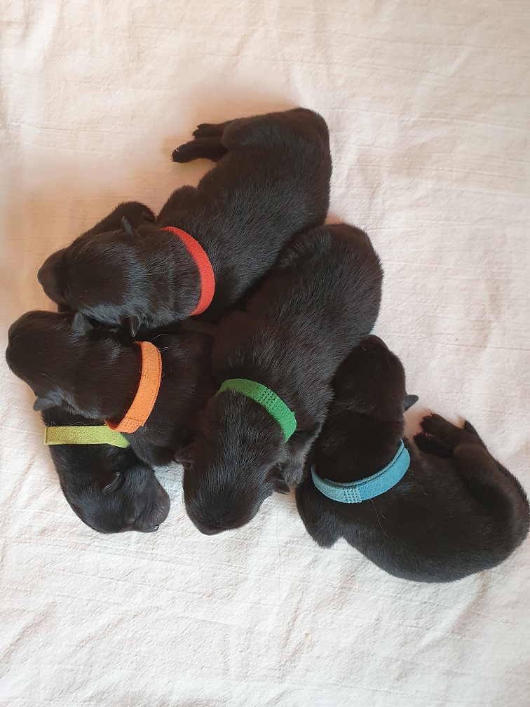 1.Tag_Gruppenkuscheln.jpg