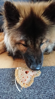 Atreju 1. Geburtstag.jpg